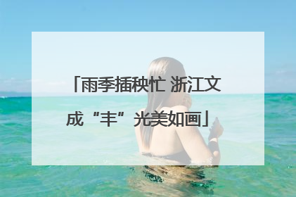 雨季插秧忙 浙江文成“丰”光美如画