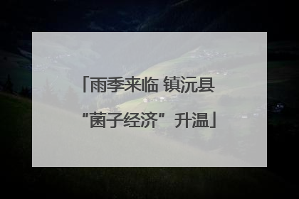雨季来临 镇沅县“菌子经济”升温