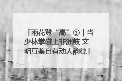 雨花登“高”③｜当少林拳碰上非洲鼓 文明互鉴自有动人韵律