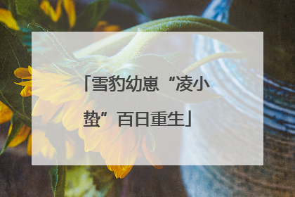 雪豹幼崽“凌小蛰”百日重生