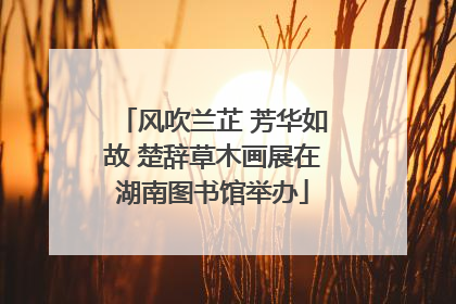 风吹兰芷 芳华如故 楚辞草木画展在湖南图书馆举办