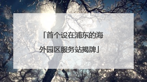 首个设在浦东的海外园区服务站揭牌