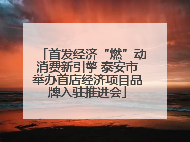 首发经济“燃”动消费新引擎 泰安市举办首店经济项目品牌入驻推进会