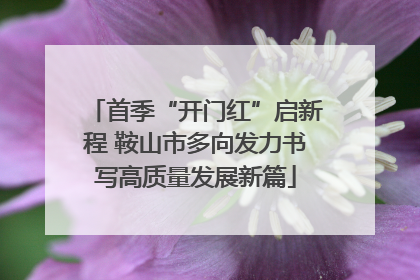 首季“开门红”启新程 鞍山市多向发力书写高质量发展新篇