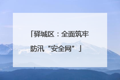驿城区：全面筑牢防汛“安全网”
