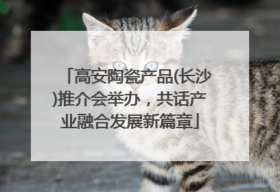 高安陶瓷产品(长沙)推介会举办，共话产业融合发展新篇章