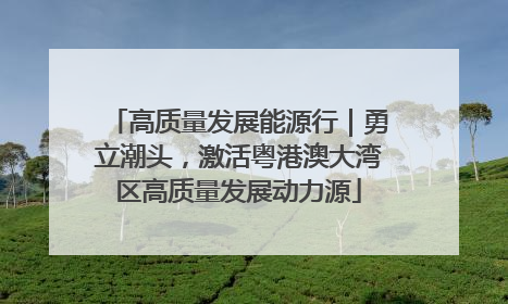 高质量发展能源行｜勇立潮头，激活粤港澳大湾区高质量发展动力源