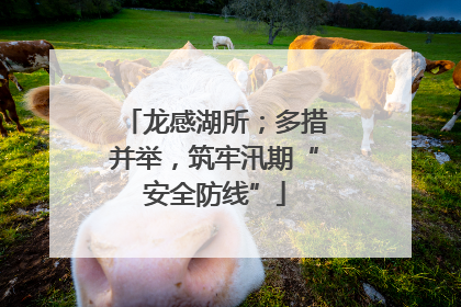 龙感湖所；多措并举，筑牢汛期“安全防线”