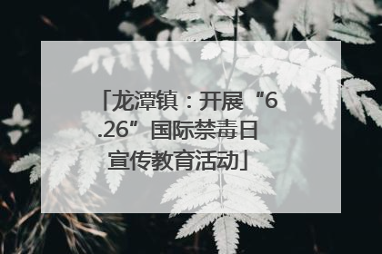 龙潭镇：开展“6.26”国际禁毒日宣传教育活动