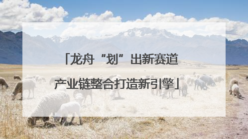 龙舟“划”出新赛道 产业链整合打造新引擎