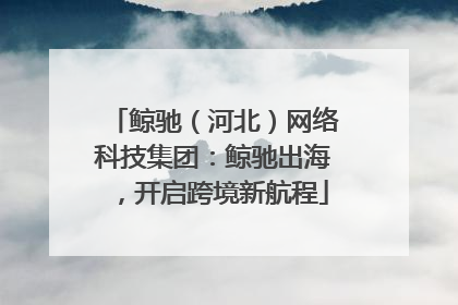 鲸驰（河北）网络科技集团：鲸驰出海，开启跨境新航程