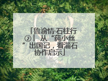 鲁渝情·石柱行② ︳从“莼小丝”出国记，看淄石协作启示