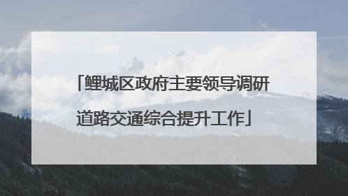 鲤城区政府主要领导调研道路交通综合提升工作