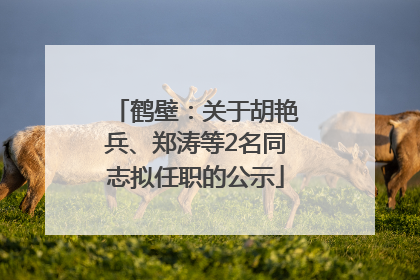 鹤壁：关于胡艳兵、郑涛等2名同志拟任职的公示