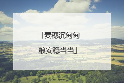 麦穗沉甸甸 粮安稳当当