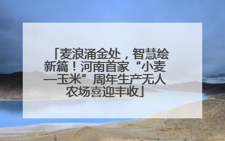麦浪涌金处，智慧绘新篇！河南首家“小麦—玉米”周年生产无人农场喜迎丰收