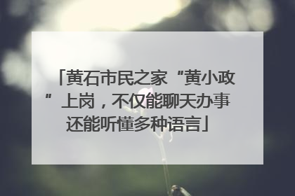 黄石市民之家“黄小政”上岗，不仅能聊天办事还能听懂多种语言