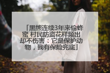 黑熊连续3年来偷蜂蜜 村民防盗花样频出却不伤害：它是保护动物，我有保险兜底