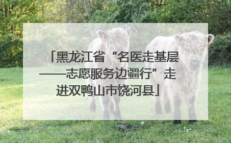 黑龙江省“名医走基层——志愿服务边疆行”走进双鸭山市饶河县