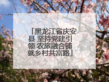 黑龙江省庆安县 坚持党建引领 农旅融合铺就乡村共富路