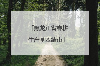 黑龙江省春耕生产基本结束