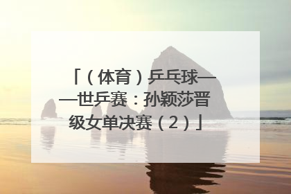 （体育）乒乓球——世乒赛：孙颖莎晋级女单决赛（2）
