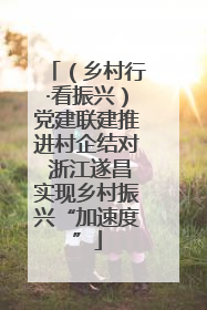（乡村行·看振兴）党建联建推进村企结对 浙江遂昌实现乡村振兴“加速度”