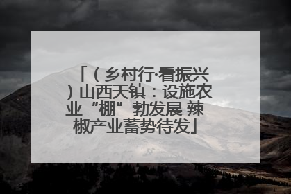 （乡村行·看振兴）山西天镇：设施农业“棚”勃发展 辣椒产业蓄势待发