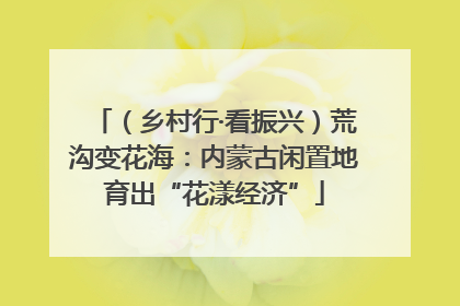 （乡村行·看振兴）荒沟变花海：内蒙古闲置地育出“花漾经济”
