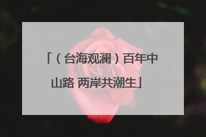 （台海观澜）百年中山路 两岸共潮生