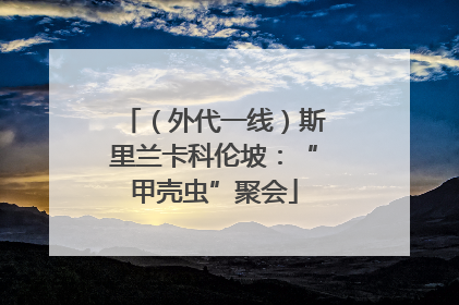 （外代一线）斯里兰卡科伦坡：“甲壳虫”聚会