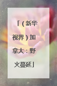 （新华视界）加拿大：野火蔓延