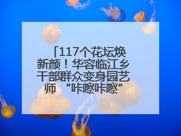 117个花坛焕新颜！华容临江乡干部群众变身园艺师 “咔嚓咔嚓”省下数万元