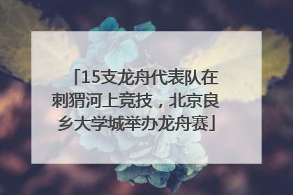 15支龙舟代表队在刺猬河上竞技，北京良乡大学城举办龙舟赛