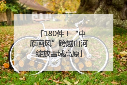 180件！“中原画风”跨越山河绽放雪域高原