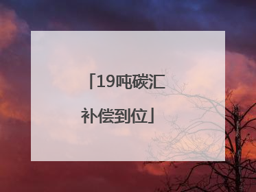 19吨碳汇补偿到位