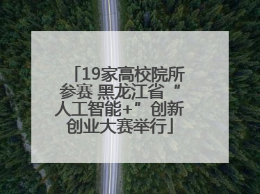 19家高校院所参赛 黑龙江省“人工智能+”创新创业大赛举行