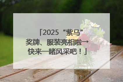 2025“紫马”奖牌、服装亮相啦→快来一睹风采吧！