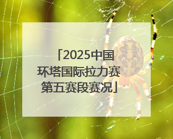 2025中国环塔国际拉力赛第五赛段赛况