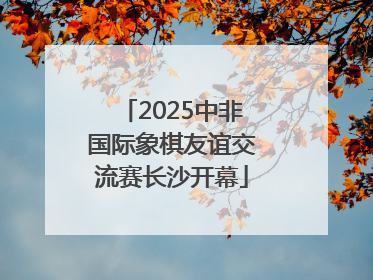 2025中非国际象棋友谊交流赛长沙开幕