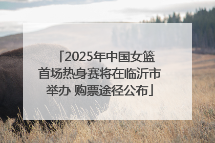 2025年中国女篮首场热身赛将在临沂市举办 购票途径公布