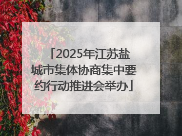2025年江苏盐城市集体协商集中要约行动推进会举办