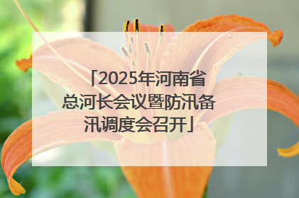 2025年河南省总河长会议暨防汛备汛调度会召开