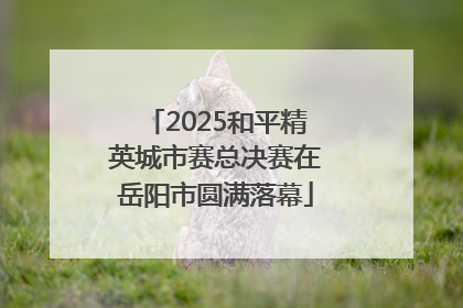 2025和平精英城市赛总决赛在岳阳市圆满落幕