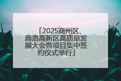 2025商州区、商洛高新区高质量发展大会暨项目集中签约仪式举行