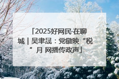 2025好网民·在聊城｜吴聿晟：党徽映“税”月 网播传政声
