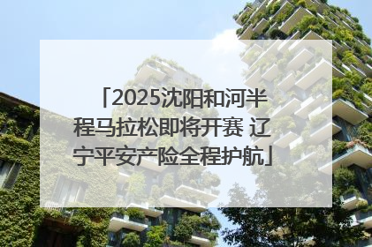 2025沈阳和河半程马拉松即将开赛 辽宁平安产险全程护航