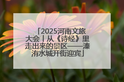 2025河南文旅大会丨从《诗经》里走出来的景区——溱洧水城开街迎宾