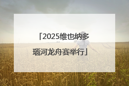 2025维也纳多瑙河龙舟赛举行