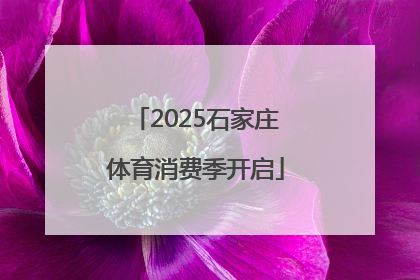 2025石家庄体育消费季开启